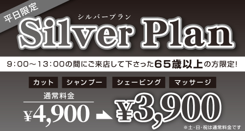 シルバープラン